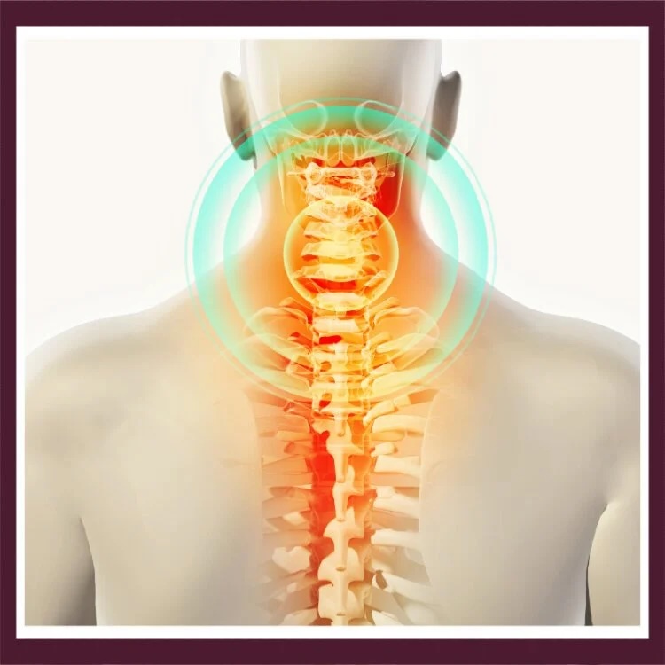 Dural Tube Glide in the Spine, and How Restrictions Impede Overall Health